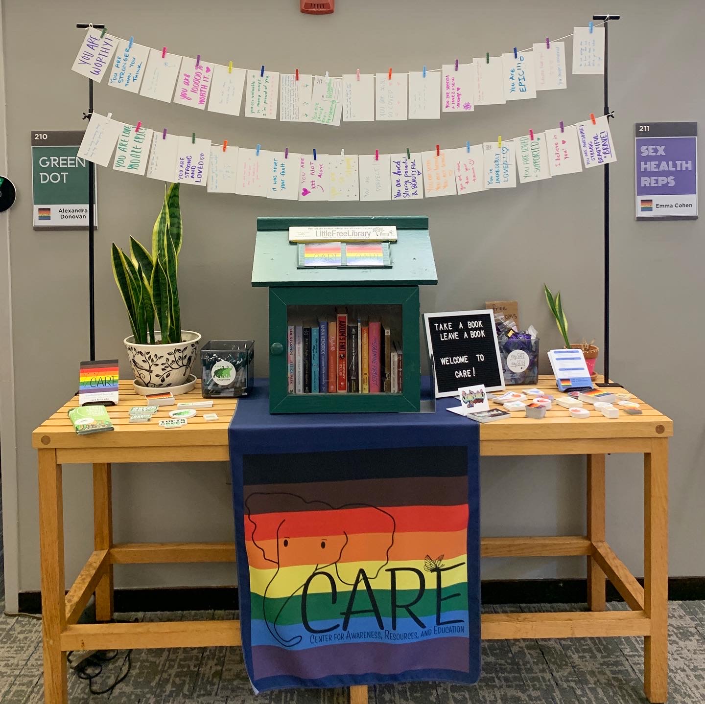 Wooden table with a rainbow sign saying CARE hanging from it. On the table is a green wooden library and two snake plants.